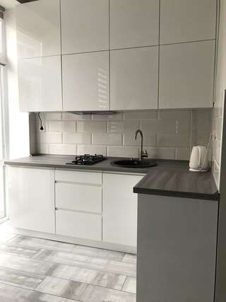 Апартаменты 2-комнатные LUX-Апартаменты Черновцы Апартаменты-3